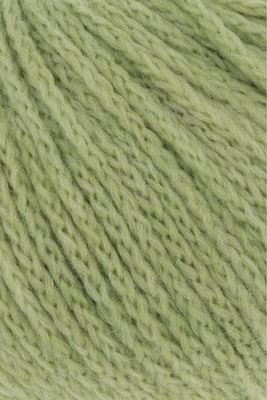 Lang Yarns Wooladdicts Memory 1124.0117 Kale
