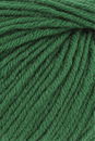 Lang Yarns Poseidon 1128.0117 Grass
