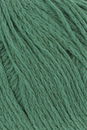 Lang Yarns Venus 1153.0017 Green