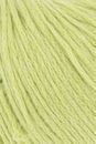 Lang Yarns Venus 1153.0044 Lime