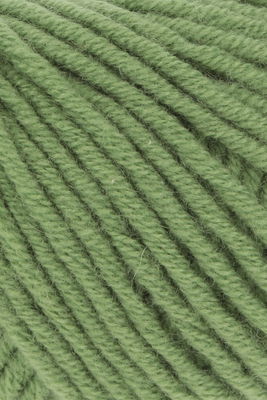 Lang Yarns Cashmere plus 1154.0017 Green