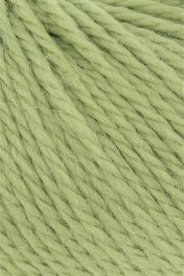 Lang Yarns Carpe Diem 714.0216 Matcha