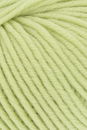 Lang Yarns Merino 70 733.0316 Matcha