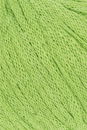 Lang Yarns Lino 784.0116 Light Green (op=op uit collectie)