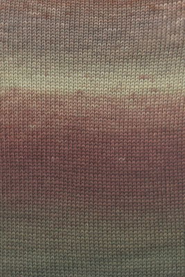 Lang Yarns Wooladdicts Move 6ply 1146.0006 Brown/Camel/Chestnut