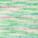 Drops Fiesta 18 watermeloen - print