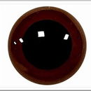 Ogen 10 mm bruin transparant (5 paar)