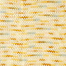 Drops Fiesta 25 lente ochtend - long print