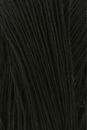 Lang Yarns Crealino 1089.0004 Black