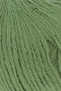 Lang Yarns Wooladdicts Bliss 1138.0017 Green