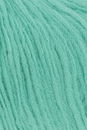 Lang Yarns Wooladdicts Bliss 1138.0179 Amazonite