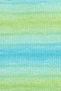 Lang Yarns Wooladdicts Glow 1158.0055 Green/Blue