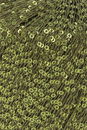 Lang Yarns Paillettes 39.0098 Olive