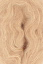 Lang Yarns Cashmere Dreams 1085.0043 Corn