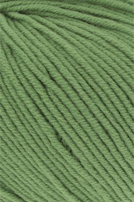 Lang Yarns Merino 120 34.0418 Fern