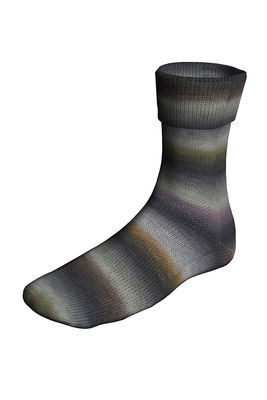 Lang Yarns Super Soxx Silk Color 4 draads