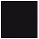 Rits 30 cm niet deelbaar zwart