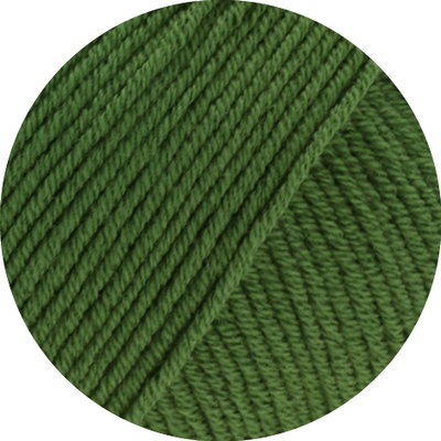 Lana Grossa Elastico 192 groen