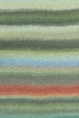 Lang Yarns Cloud 1077.0020 Dark Green/Olive/Light Blue/Red