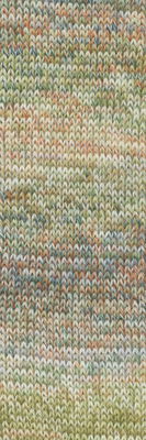 Lang Yarns Wooladdicts Move 4ply 1126.0016 Darkgreen/Olive/Petrol/Brown