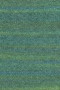 Lang Yarns Wooladdicts Glamour 1151.0017 Green