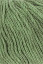 Lang Yarns Nomad 1166.0017 Green