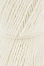 Lang Yarns Donegal Woolen Spun 1172.0001 White