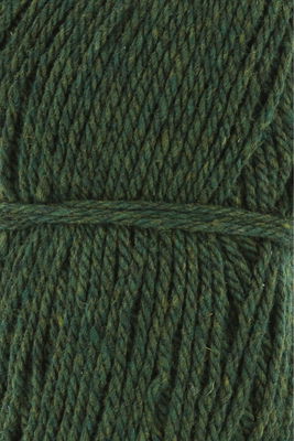Lang Yarns Donegal Woolen Spun 1172.0017 Green