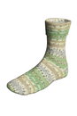 Lang Yarns Super Soxx Bamboo Color 4-Fach/4-Ply 641.0514 Green/Grey 1144 Kinglet