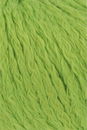 Lang Yarns Amira 933.0016 Light Green