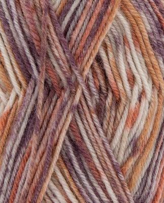 Phildar Phil Baby Socks Merinos Jaquard Marron