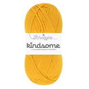 Scheepjes Kindsome 711 Pollen
