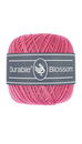 Durable Blossom 228 Raspberry