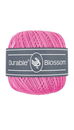 Durable Blossom 239 Fresia