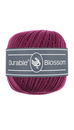 Durable Blossom 249 Plum