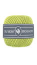 Durable Blossom 352 Lime