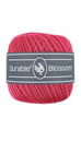 Durable Blossom 221 Holly Berry