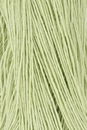 Lang Yarns Crealino 1089.0016 Light Green