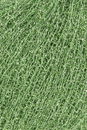 Lang Yarns Astra 1150.0016 Light Green