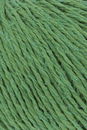 Lang Yarns Ananas plus 1182.0017 Grassgreen