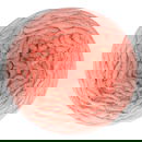 Scheepjes Big Darling Monochrome Cake - 438 Minneola (300 gram)