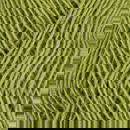 Istex Lopi Fjallalopi 3032 groen lime