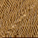 Istex Lopi Fjallalopi 3041 geel oker