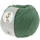 Lana Grossa Soft cotton 37 groen