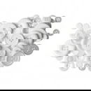 Knoop 20 mm rond wit