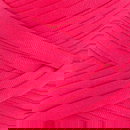 Pingo Maker Raspberry