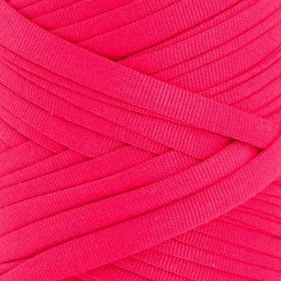 Pingo Maker Raspberry