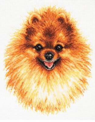 Borduurpakket hond pomperanian