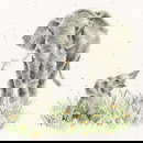 Borduurpakket dieren - Hannah Dale Bloom and Grow