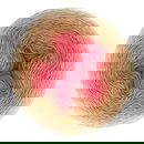 Scheepjes Whirl 797 Birthday Cake Cutie Pie